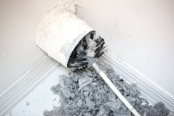 Best Ventilation Cleaning Services  in Honea Path, SC