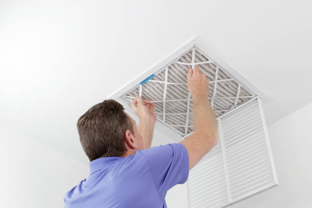 Best Professional Duct Cleaning Services  in Honea Path, SC
